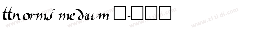 ttnorms medium 中字体转换